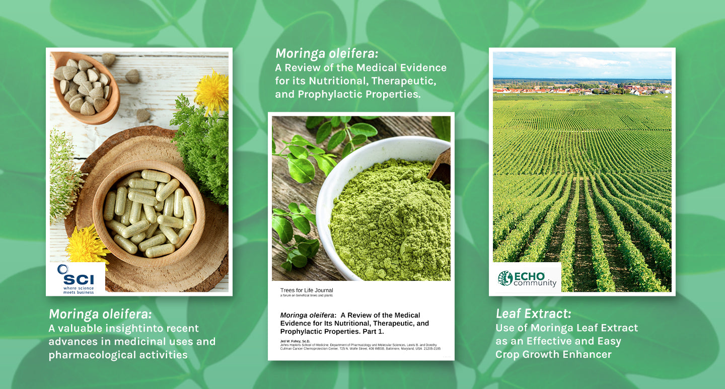 Agricultural Food Chemistry Magazine