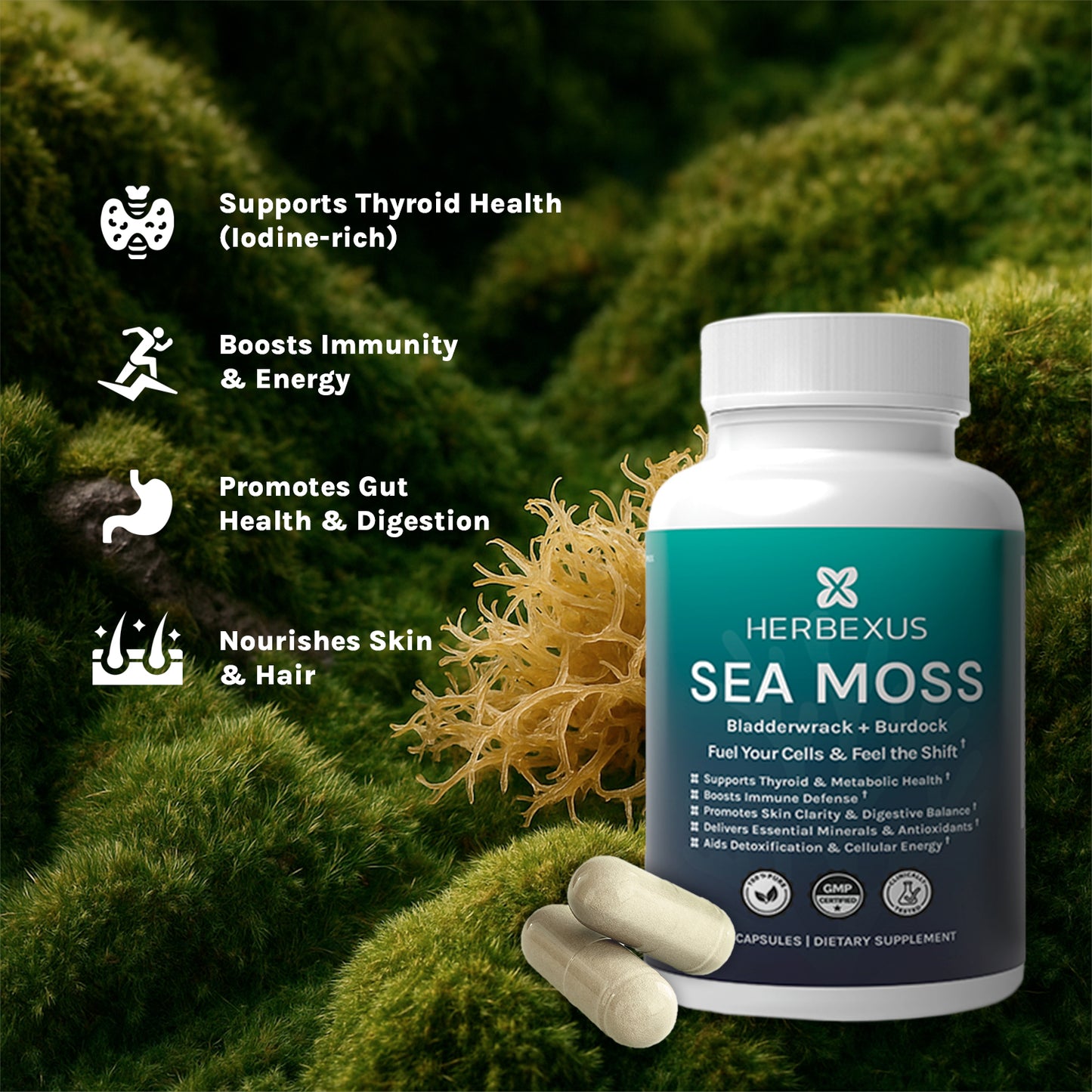 Sea Moss Capsules