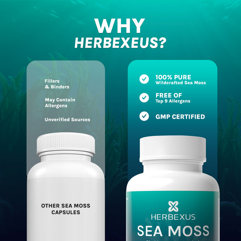 Sea Moss Capsules