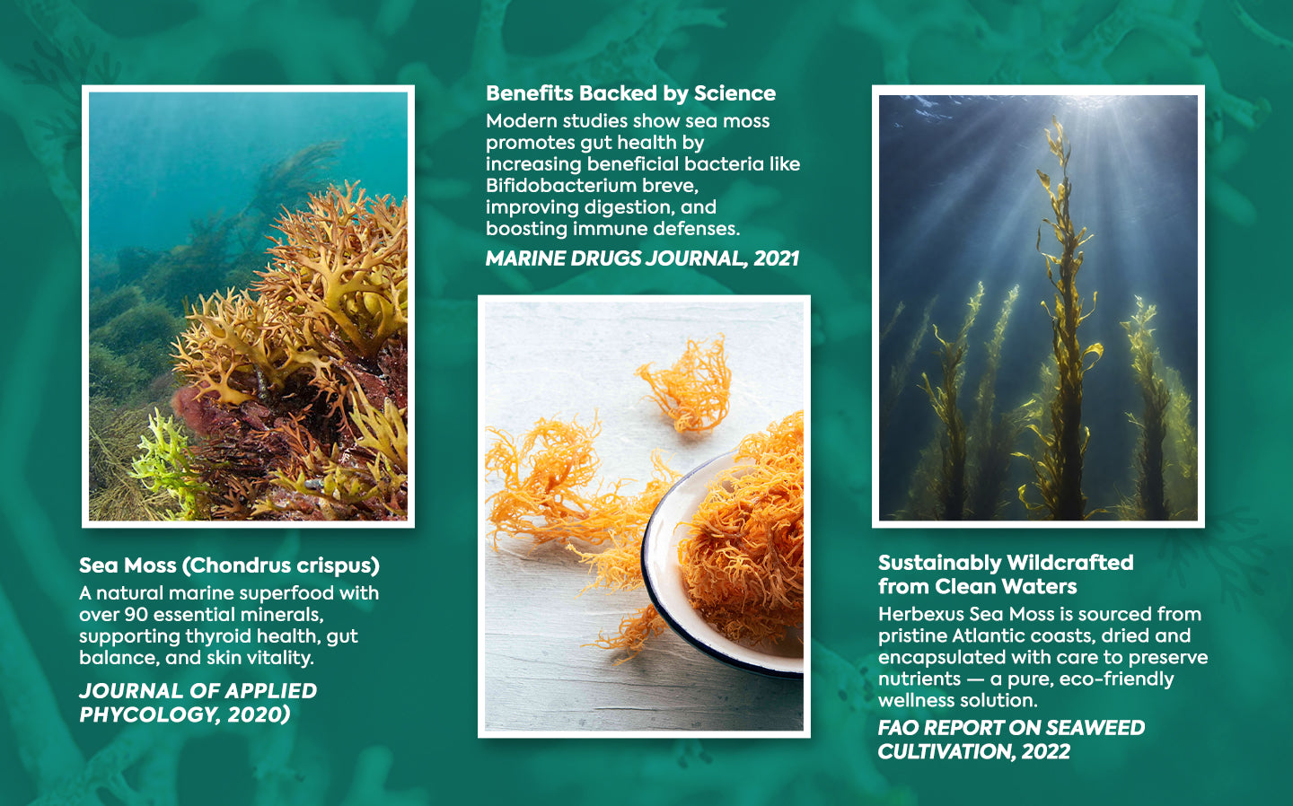 Agricultural Food Chemistry Magazine